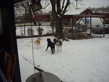 ice