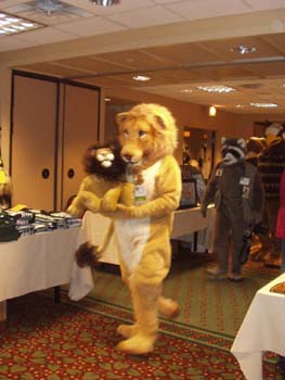 MFF