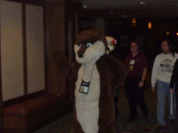 MFF