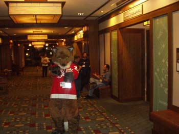 MFF