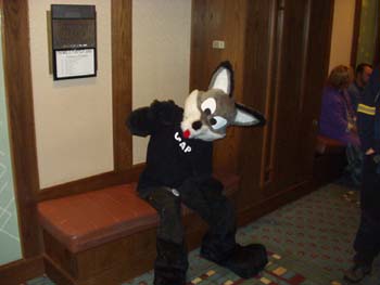 MFF