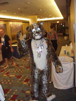 MFF