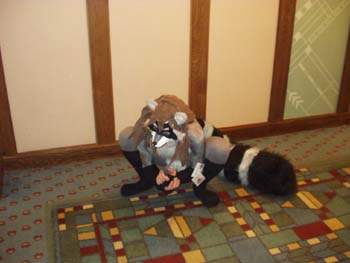 MFF