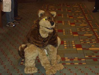 MFF