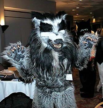 TechWolf3