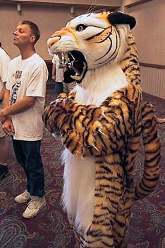 Tiger6