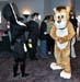 SkunkyLion