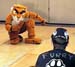 Tiger4