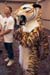 Tiger6