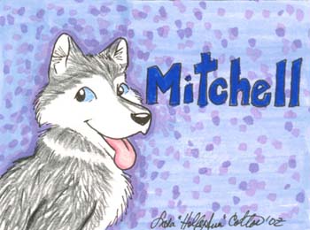 mitchellbadge