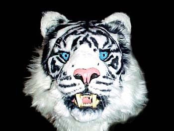 whtiger21111