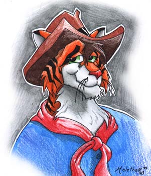 tygercowboyc